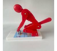 HGSHMY Allenatore per Colonna Lombare per Anatomia Biomeccanica, Modello di Dimostrazione della Forza Vertebrale Umana, Visualizzazione Forza di Piegamento & Sollevamento Pesi(Red)
