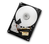 HGST 3TB, 3.5", SAS 6Gb/s, 7200RPM