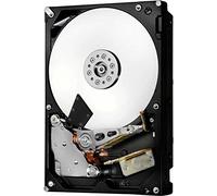 'HGST Hard disk interno Ultrastar 7 K4000 3.5 - 3 TB (HUS724030ALE640)