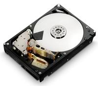HGST Ultrastar 7K4000 2.0TB 3.5" 2000 GB Serial ATA III