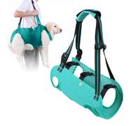 HGTRH Supporto Mobilità e Guinzaglio Riabilitazione per Cani Anziani o Feriti Carrozzina Sollevamento Zampe Posteriori Corpetto Regolabile per Displasia Anca Aiuto per Artrosi e Deambulazione C S