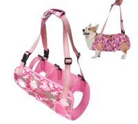 HGTRH Supporto Mobilità e Guinzaglio Riabilitazione per Cani Anziani o Feriti Carrozzina Sollevamento Zampe Posteriori Corpetto Regolabile per Displasia Anca Aiuto per Artrosi e Deambulazione F M