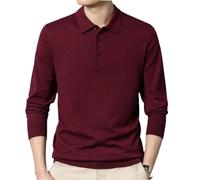 Hgvcfcv Maglione Pullover Polo da Uomo Autunnale a Maniche Lunghe in Misto Lana con Risvolto, Maglione Casual di Base, Y, M