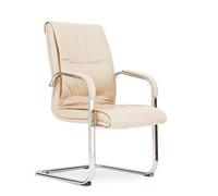 Hhaoran-9868 Sedia da gioco per computer Sedia for ospiti in pelle PU for ufficio domestico for reception, riunioni, conferenze e sala d'attesa, ufficio, casa, con braccioli(Bianco)