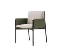 Hhaoran-9868 Sedia da soggiorno Sedie da cucina moderne, sedia da pranzo con gambe in metallo for cucina, soggiorno, sala da pranzo Sedie da pranzo(Green)