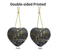 HHGFASD Ciondolo a forma di cuore in ceramica con motivo a germogli giovani nella stagione delle piogge con corda metallica dorata per appendere facilmente la decorazione