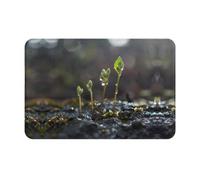 HHGFASD Zerbino 40,6 x 61 cm Giovani germogli nella stagione delle piogge Modello assorbente acqua Antiscivolo per porte d'ingresso, ingressi e bagni