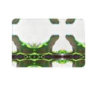 HHGFASD Zerbino 40,6 x 61 cm, motivo lucertola che guarda verso il cielo, assorbe l'acqua, antiscivolo, per porte d'ingresso, ingressi e bagni