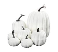 HHRJNUST 7x Zucche Artificiali Raccolta Finta per Centrotavola Matrimonio Autunnale, bianca