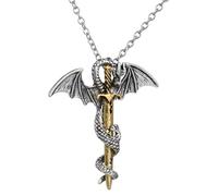 HHRLCH Collana in Argento Sterling 925 con Spada del Drago per Uomo, Collana Katana con Ciondolo Spada Vintage - Collana con pugnale Hip-Hop per Donne, Collana con Spada Maestro per Regali di Natale