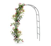 Hi - Arco da giardino per piante rampicanti e rose - 140 x 240 x 37 cm - Porta da giardino - Archetto con rose in metallo - per un aspetto da favola nel giardino