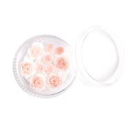 Hi Hybrid Decorazioni per unghie 3D 903 Rose Garden