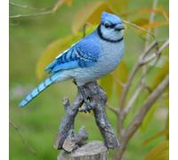 Hi-Line Gift Ltd Statua di ghiandaia azzurra su ramo