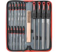 Hi-Spec Lime, Set Lime per Ferro e Lime ad Ago in Acciaio al Carbonio per Sbavare e Sagomare Metallo/Legno, con Spazzola e Astuccio con Cerniera, 17 Pezzi