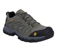 Hi-Tec Campana Low WP, Scarpe da Escursionismo Uomo, Miele d'Ol, 47.5 EU