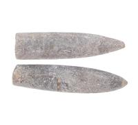 HIAKDOFT 2pezzi Fossili Belemnite Naturali Specimen Autentici Per Educazione Geologia Paleontologia Studio e Collezione