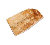 HIAKDOFT Esemplare Paleontologico Pesce Fossile con Dettagli Intagliati per Insegnamento e Decorazione Scientifico di Creature Antiche