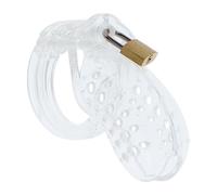 Hidden Desire Extreme Chastity Cock Cage Acrylic