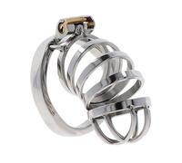 Hidden Desire Extreme Chastity Cock Cage Metal