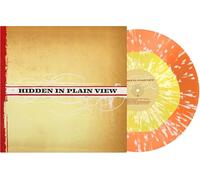 Hidden in Plain View - Hidden In Plain View