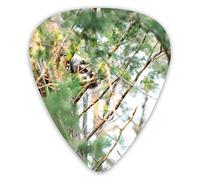 Hidden Raccoon Climbing Pine Tree Animal Cute2 Plettri per chitarra 12 confezioni - Varietà Plettri per chitarra Plettri Sottili, Medi, Pesanti 0 .46/0,71/0,96 mm