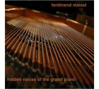 Hidden Voices of the Grand Piano