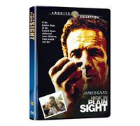 Hide In Plain Sight (DVD) Barbra Rae Danny Aiello James Caan Jill Eikenberry