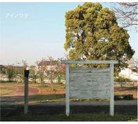 Hidenori Chiwata - AI No Uta [Import]