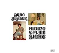 Drugdealer Hiding in Plain Sight (Vinyl LP) 12" Album