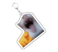 Hiemible Portachiavi Gattino - Gatto Portachiavi Acrilico - Charm Animale Accessorio Moda Per Donna Zaino Borsa Regalo Scolastico