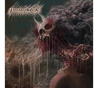 Hierarchies - Hierarchies