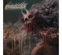 Hierarchies - Hierarchies