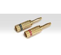 Norstone Banana Plugs 4 Connettori