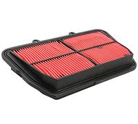 Hiflofiltro Filtro aria HFA6501