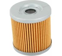 HifloFiltro Qualità OE Filtro Olio Per Husqvarna TXC510 (2008 A 2009)
