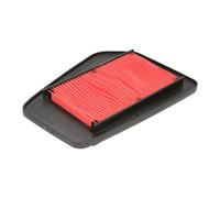 HIFLOFILTRO Filtro Aria HFA1113