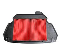 Hiflofiltro Filtro aria - HFA1622