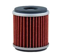 HIFLOFILTRO Filtro Olio HF141, nero