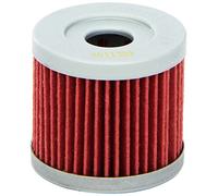 HIFLOFILTRO Filtro Olio HF971, Nero, 1 size