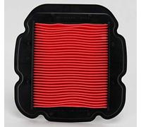 Hiflofiltro HFA3614 Premium OE Sostituzione Filtro Aria