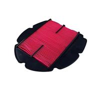 Hiflofiltro Filtro aria - HFA4915