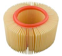 Filtro aria HIFLO HFA7910
