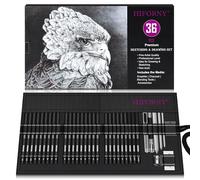 HIFORNY Set di 36 matite da disegno per schizzi, forniture artistiche con grafite, carbone, strumenti di miscelazione, accessori, kit da disegno per artisti adulti in custodia arrotolabile in tela