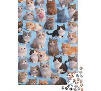 High Difficulty And Interesting Puzzle 1000 Pezzi Carta Spessa Dettagliato Per Adultidifficil Resistente Many Cats Per Famiglie Idea Regalo 38x26cm/1000pcs
