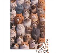 High Difficulty And Interesting Puzzle 1000 Pezzi Carta Spessa Dettagliato Per Adultidifficil Resistente Many Cats Per Famiglie Puzzle Per Famiglia 38x26cm/1000pcs