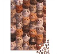High Difficulty And Interesting Puzzle 1000 Pezzi Carta Spessa Dettagliato Per Adultidifficil Sfida Many Cats Collezion Puzzle Per Famiglia 70x50cm/1000pcs