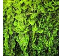 High Places - High Vs Mankind - Cd