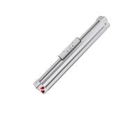 High speed mechanical rodless cylinder with guide rail long stroke DGC-K-25-100-PPV-A DGC-K-32 40-100-PPV-A BIANMTSW(800mm,DGC-K40)