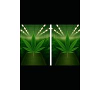 High Stakes: The Future of Retail Marijuana in the United States