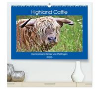 Highland Cattle, die Hochlandrinder aus Pfeffingen (hochwertiger Premium Wandkalender 2026 DIN A2 quer), Kunstdruck in Hochglanz: Urige Rinder auf der Weide